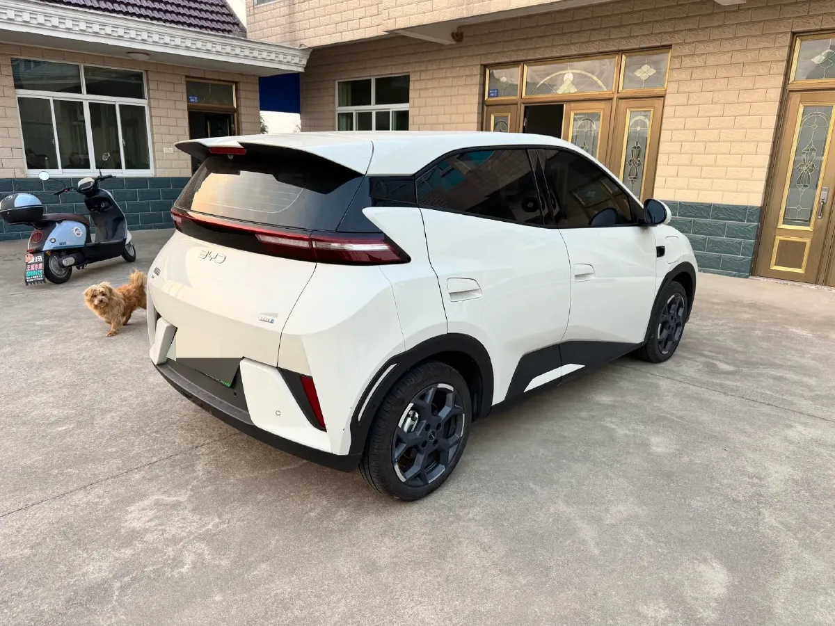 2025 BYD Seagull BEV 30.08KWH,autocango,china used car exporter,china ev exporter,chinese used car exporter,chinese used ev exporter