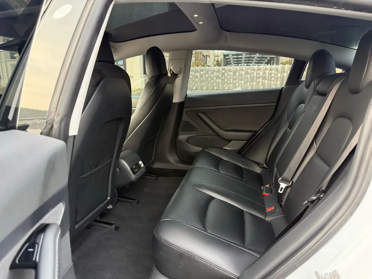 2020 Tesla Model 3 BEV 52KWH,autocango,china used car exporter,china ev exporter,chinese used car exporter,chinese used ev exporter