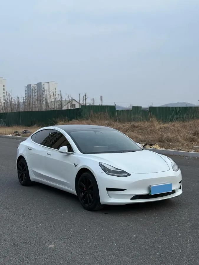 2020 Tesla Model 3 BEV 52KWH,autocango,china used car exporter,china ev exporter,chinese used car exporter,chinese used ev exporter