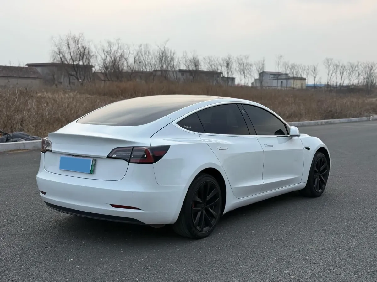 2020 Tesla Model 3 BEV 52KWH,autocango,china used car exporter,china ev exporter,chinese used car exporter,chinese used ev exporter
