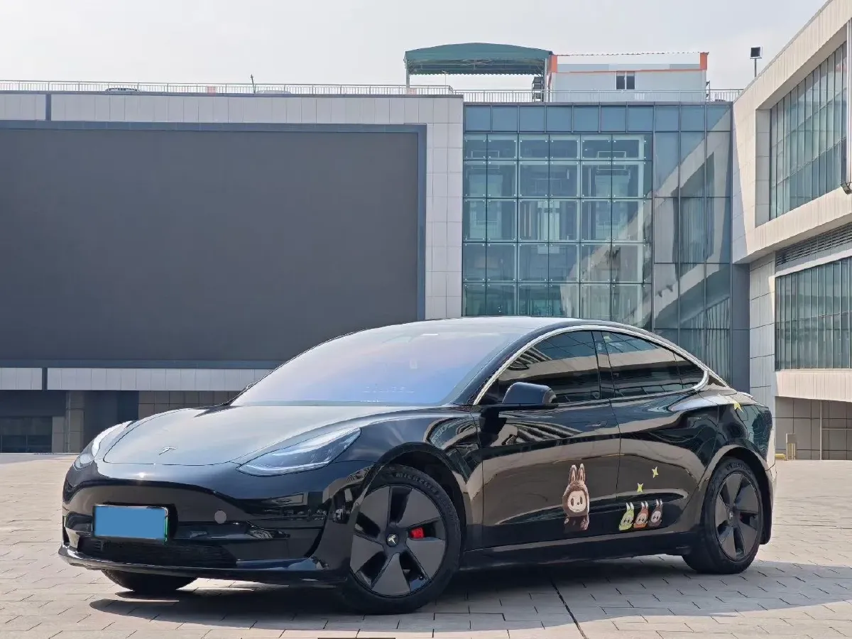 2020 Tesla Model 3 BEV 52KWH,autocango,china used car exporter,china ev exporter,chinese used car exporter,chinese used ev exporter