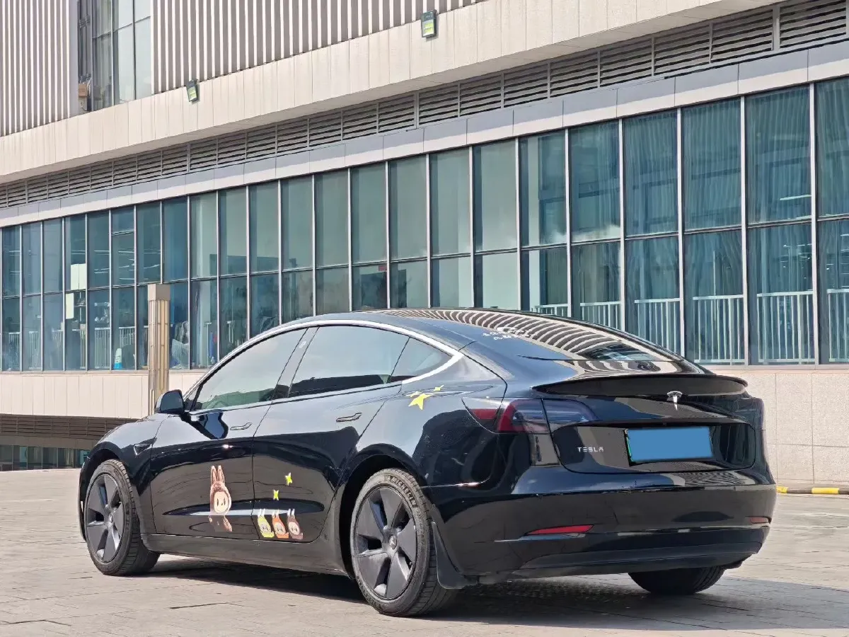 2020 Tesla Model 3 BEV 52KWH,autocango,china used car exporter,china ev exporter,chinese used car exporter,chinese used ev exporter