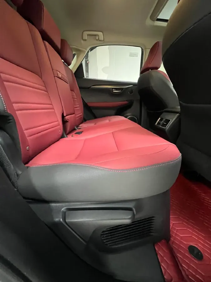 2020 Lexus NX 2.0L 150HP L4 CVT,autocango,china used car exporter,china ev exporter,chinese used car exporter,chinese used ev exporter