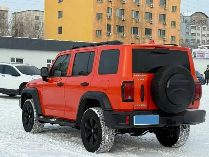 2024 Tank 300 2.0T 227HP L4 8AT,autocango,china used car exporter,china ev exporter,chinese used car exporter,chinese used ev exporter