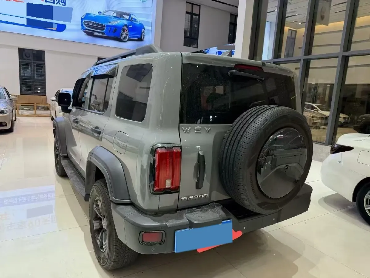 2021 Tank 300 2.0T 227HP L4 8AT,autocango,china used car exporter,china ev exporter,chinese used car exporter,chinese used ev exporter