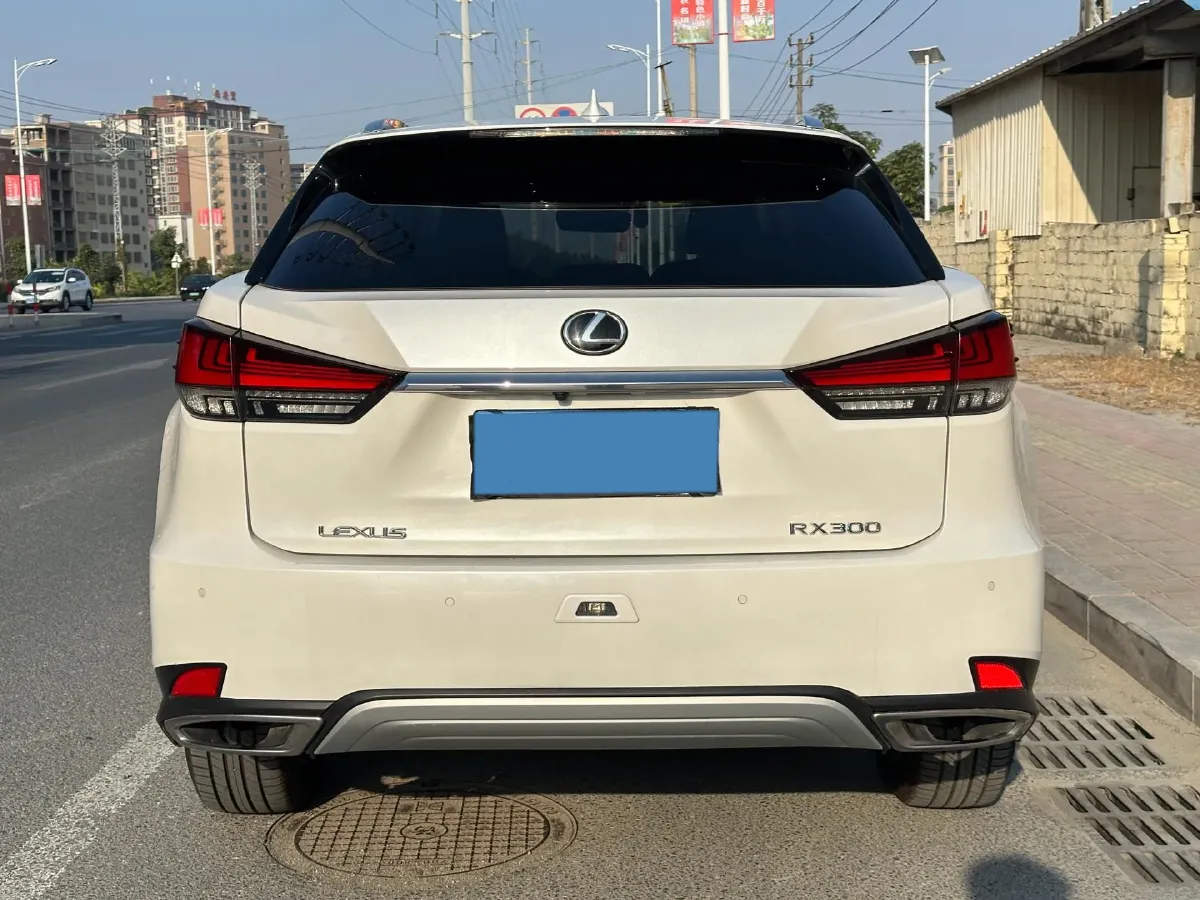 2017 Lexus RX 2.0T 238HP L4 6AT,autocango,china used car exporter,china ev exporter,chinese used car exporter,chinese used ev exporter
