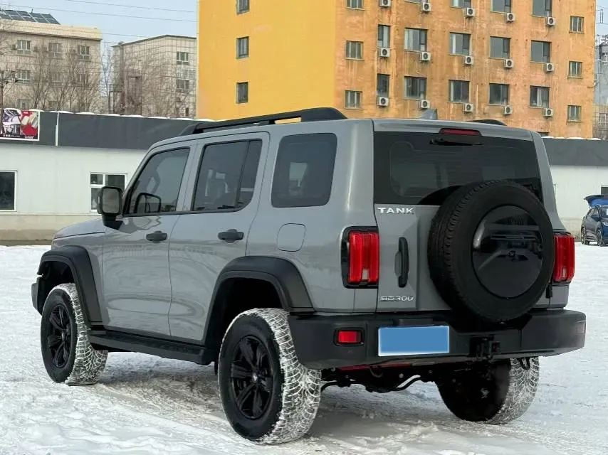 2024 Tank 300 2.0T 227HP L4 8AT,autocango,china used car exporter,china ev exporter,chinese used car exporter,chinese used ev exporter