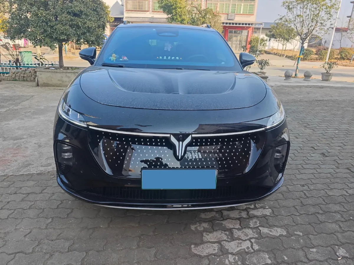 2024 Voyah ZhiYin BEV 77KWH,autocango,china used car exporter,china ev exporter,chinese used car exporter,chinese used ev exporter