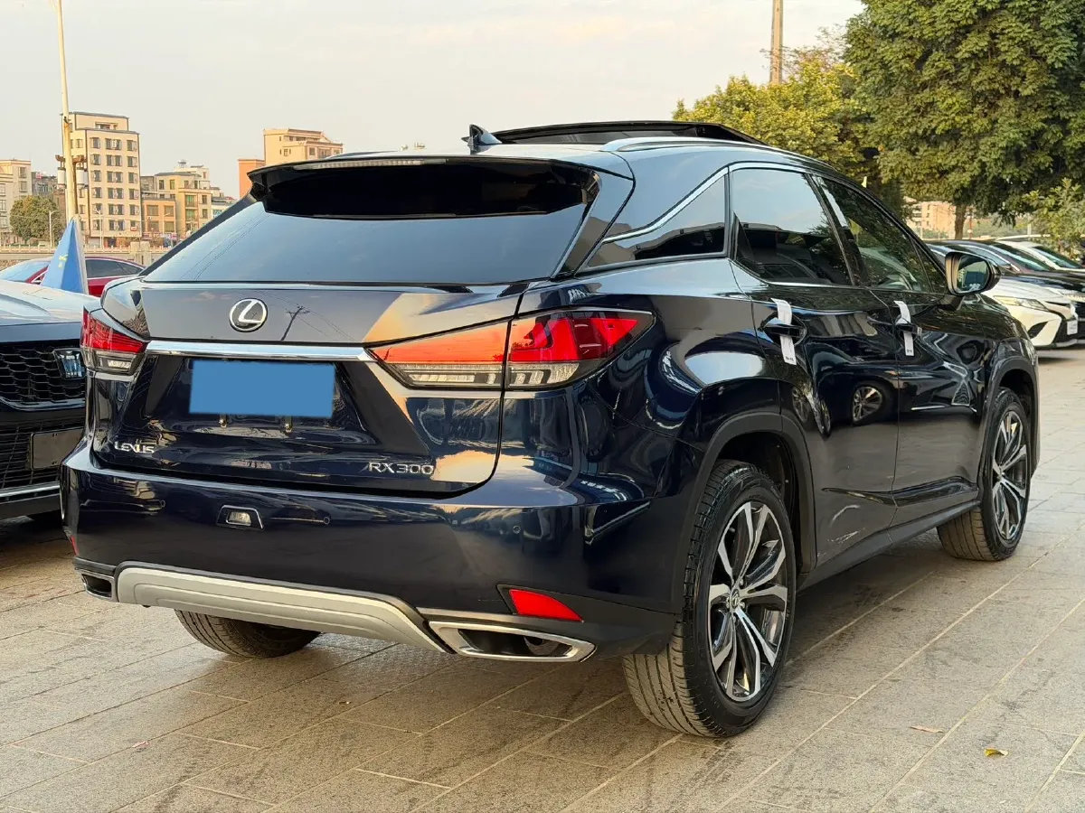 2020 Lexus RX 2.0T 231HP L4 6AT,autocango,china used car exporter,china ev exporter,chinese used car exporter,chinese used ev exporter