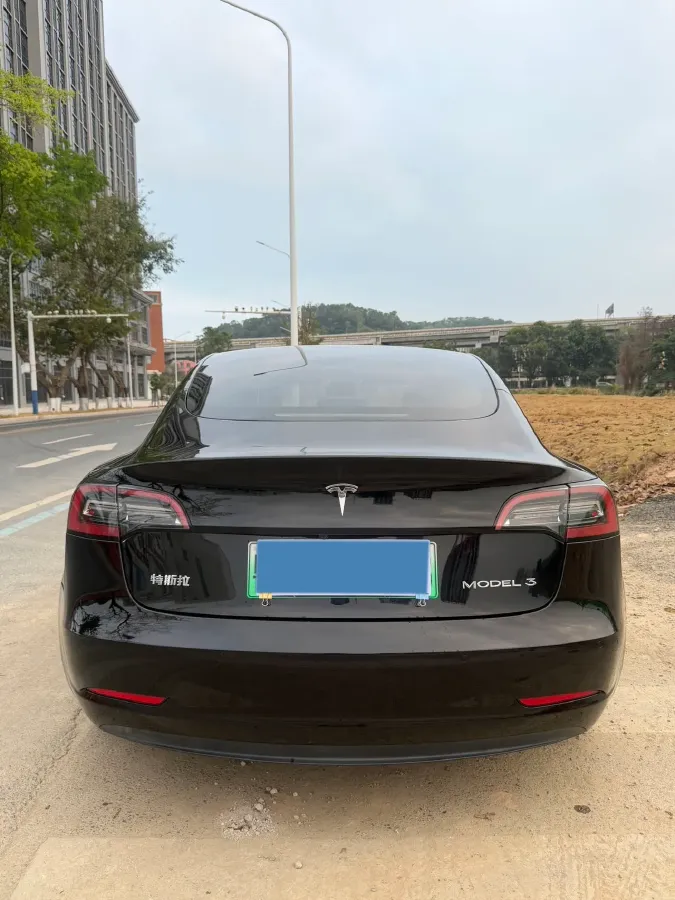 2021 Tesla Model 3 BEV 55KWH,autocango,china used car exporter,china ev exporter,chinese used car exporter,chinese used ev exporter