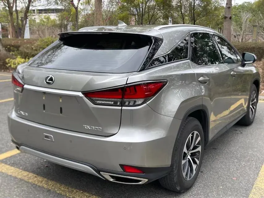 2020 Lexus RX 2.0T 231HP L4 6AT,autocango,china used car exporter,china ev exporter,chinese used car exporter,chinese used ev exporter