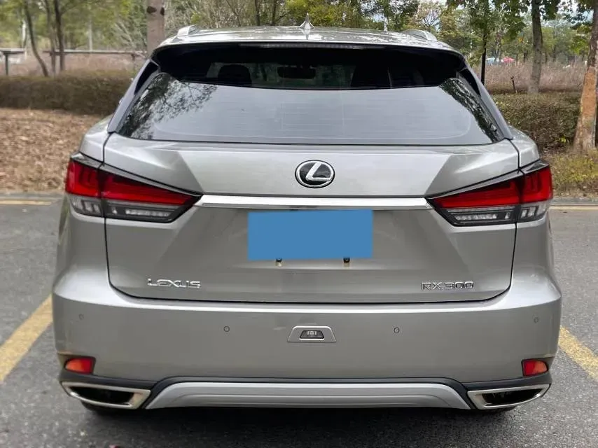 2020 Lexus RX 2.0T 231HP L4 6AT,autocango,china used car exporter,china ev exporter,chinese used car exporter,chinese used ev exporter
