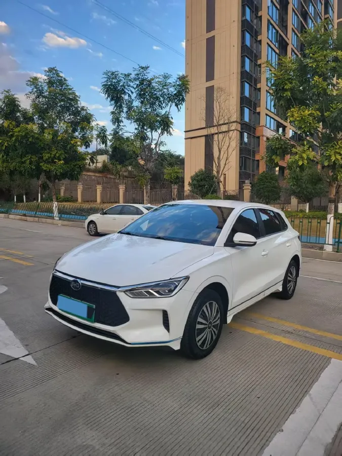 2019 BYD e2 BEV 35.2KWH,autocango,china used car exporter,china ev exporter,chinese used car exporter,chinese used ev exporter
