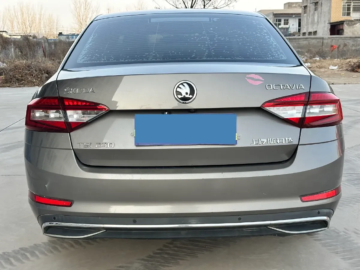 2018 Skoda Octavia 1.2T 116HP L4 7DCT,autocango,china used car exporter,china ev exporter,chinese used car exporter,chinese used ev exporter