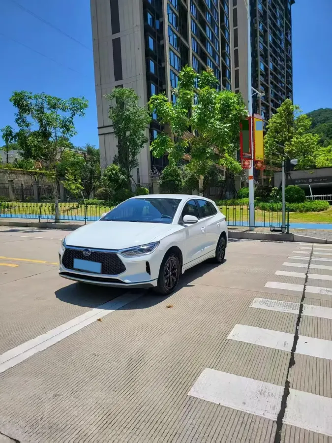 2019 BYD e2 BEV 47.3KWH,autocango,china used car exporter,china ev exporter,chinese used car exporter,chinese used ev exporter
