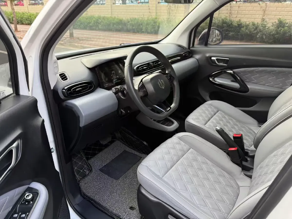 2021 Leapmotor T03 BEV 41KWH,autocango,china used car exporter,china ev exporter,chinese used car exporter,chinese used ev exporter