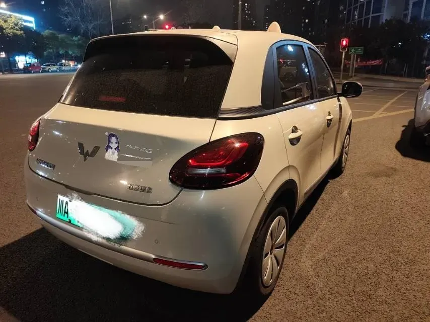 2023 WuLing BinGuo BEV 31.9KWH,autocango,china used car exporter,china ev exporter,chinese used car exporter,chinese used ev exporter