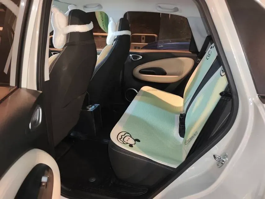 2023 WuLing BinGuo BEV 31.9KWH,autocango,china used car exporter,china ev exporter,chinese used car exporter,chinese used ev exporter