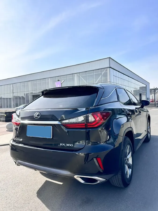 2016 Lexus RX 2.0T 231HP L4 6AT,autocango,china used car exporter,china ev exporter,chinese used car exporter,chinese used ev exporter