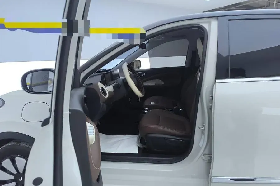 2024 WuLing BinGuo BEV 31.9KWH,autocango,china used car exporter,china ev exporter,chinese used car exporter,chinese used ev exporter