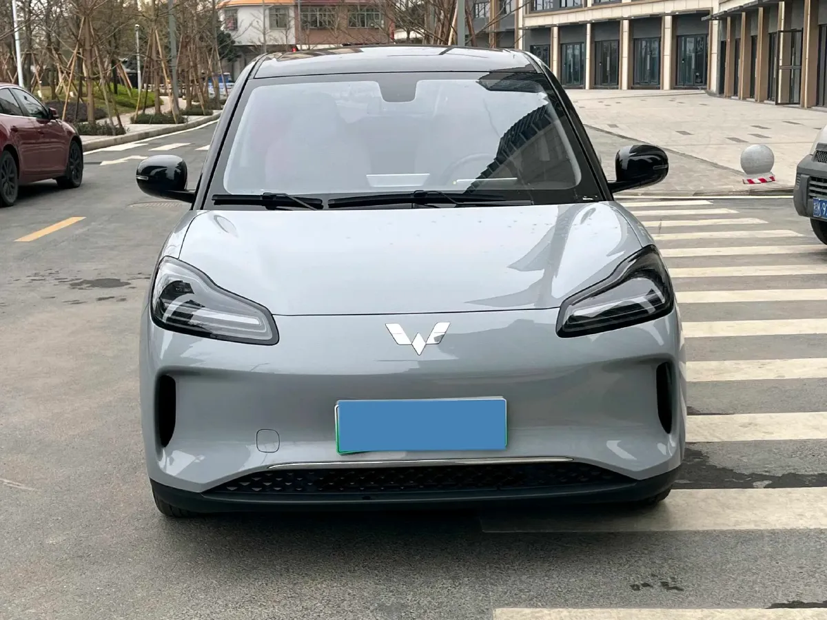 2024 WuLing BinGuoPLUS BEV 50.6KWH,autocango,china used car exporter,china ev exporter,chinese used car exporter,chinese used ev exporter