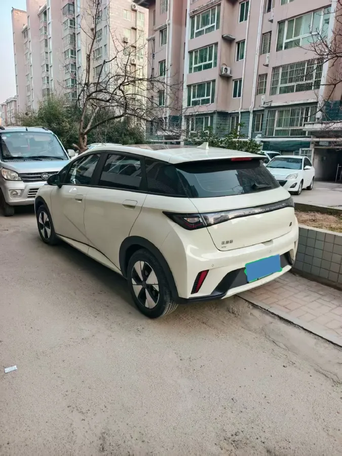2023 BYD Dolphin BEV 44.928KWH,autocango,china used car exporter,china ev exporter,chinese used car exporter,chinese used ev exporter