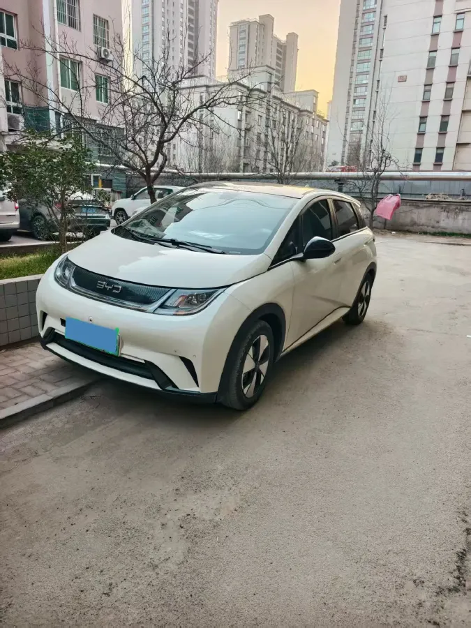 2023 BYD Dolphin BEV 44.928KWH,autocango,china used car exporter,china ev exporter,chinese used car exporter,chinese used ev exporter