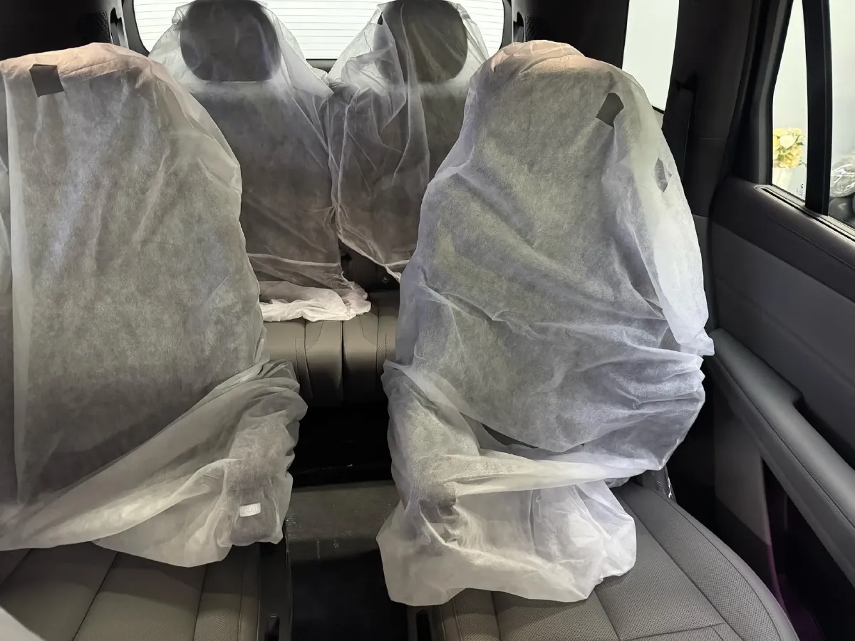 2025 Denza DenzaN8L 2.0T 207HP L4 E-CVT PHEV,autocango,china used car exporter,china ev exporter,chinese used car exporter,chinese used ev exporter