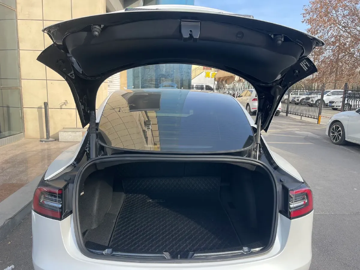 2021 Tesla Model 3 BEV 55KWH,autocango,china used car exporter,china ev exporter,chinese used car exporter,chinese used ev exporter