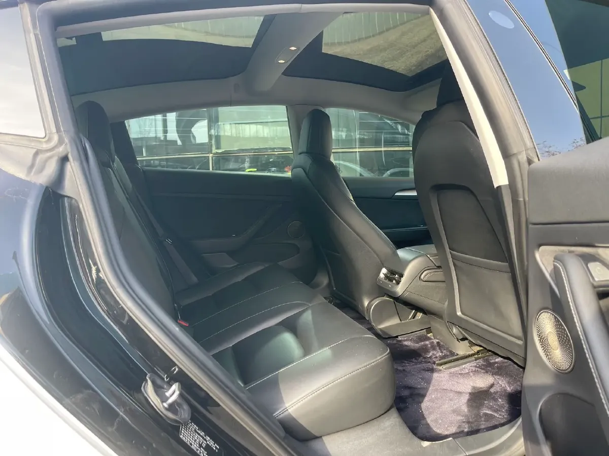 2021 Tesla Model 3 BEV 55KWH,autocango,china used car exporter,china ev exporter,chinese used car exporter,chinese used ev exporter