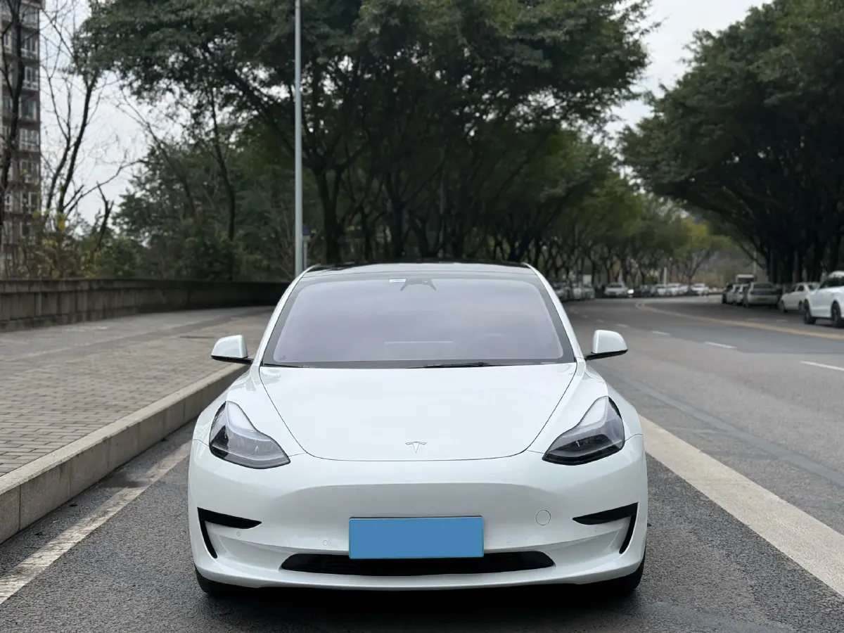 2022 Tesla Model 3 BEV 60KWH,autocango,china used car exporter,china ev exporter,chinese used car exporter,chinese used ev exporter