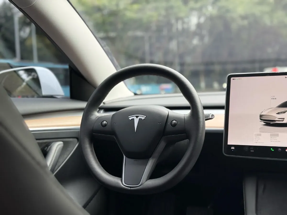 2022 Tesla Model 3 BEV 60KWH,autocango,china used car exporter,china ev exporter,chinese used car exporter,chinese used ev exporter