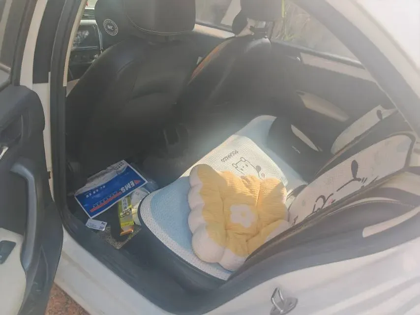 2018 Skoda Rapid 1.6L 110HP L4 6AT,autocango,china used car exporter,china ev exporter,chinese used car exporter,chinese used ev exporter