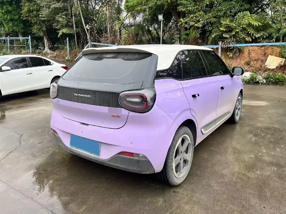 2024 DongFeng Nammi 01 BEV 42.3KWH,autocango,china used car exporter,china ev exporter,chinese used car exporter,chinese used ev exporter
