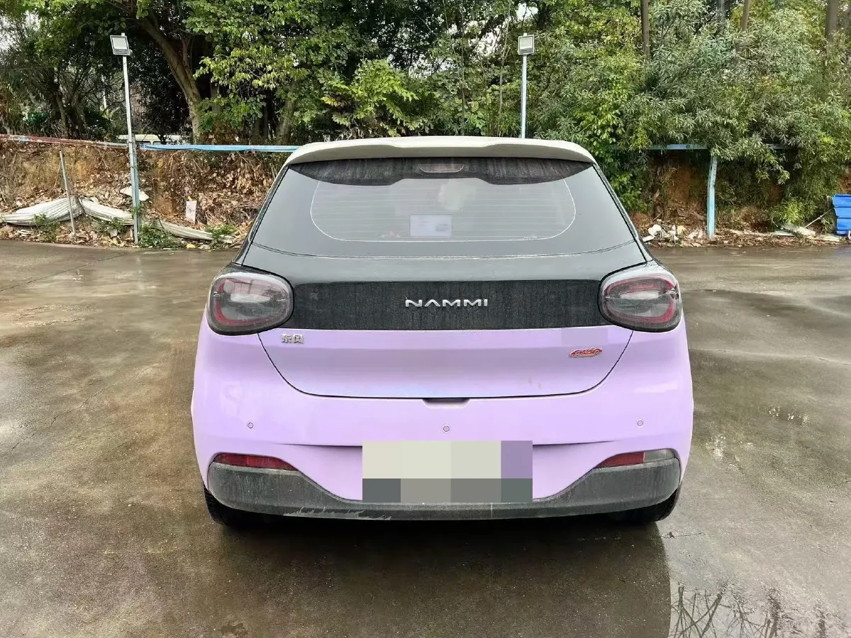 2024 DongFeng Nammi 01 BEV 42.3KWH,autocango,china used car exporter,china ev exporter,chinese used car exporter,chinese used ev exporter