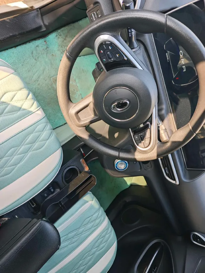 2020 Ora WhiteCat BEV 29.4KWH,autocango,china used car exporter,china ev exporter,chinese used car exporter,chinese used ev exporter