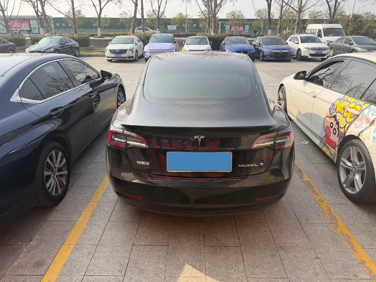2020 Tesla Model 3 BEV 55KWH,autocango,china used car exporter,china ev exporter,chinese used car exporter,chinese used ev exporter