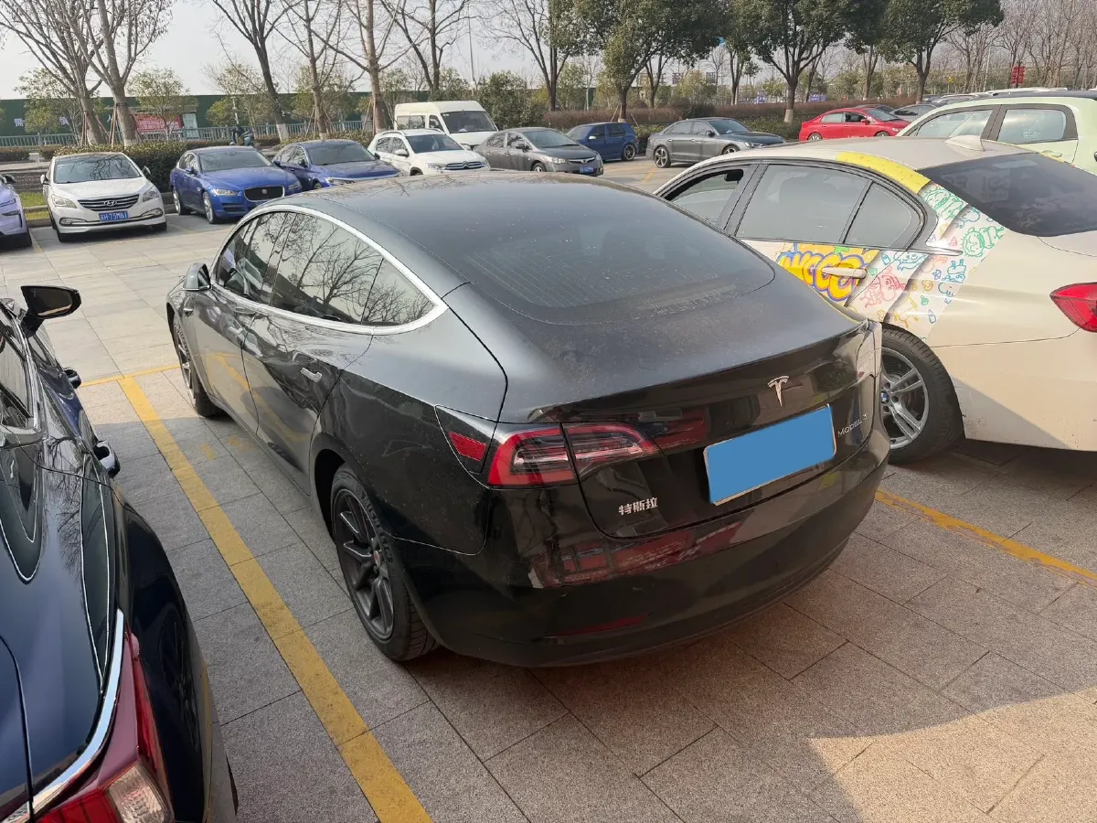 2020 Tesla Model 3 BEV 55KWH,autocango,china used car exporter,china ev exporter,chinese used car exporter,chinese used ev exporter