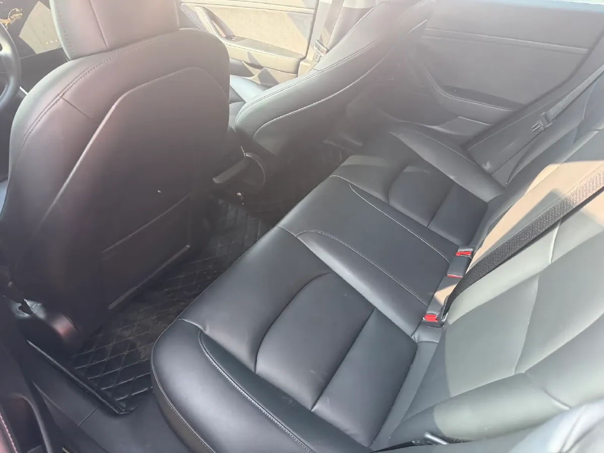 2020 Tesla Model 3 BEV 55KWH,autocango,china used car exporter,china ev exporter,chinese used car exporter,chinese used ev exporter