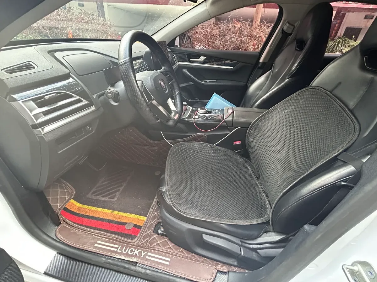 2021 BYD Qin BEV 53.56KWH,autocango,china used car exporter,china ev exporter,chinese used car exporter,chinese used ev exporter