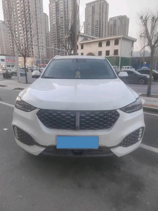 2019 WEY VV6 2.0T 224HP L4 7DCT,autocango,china used car exporter,china ev exporter,chinese used car exporter,chinese used ev exporter