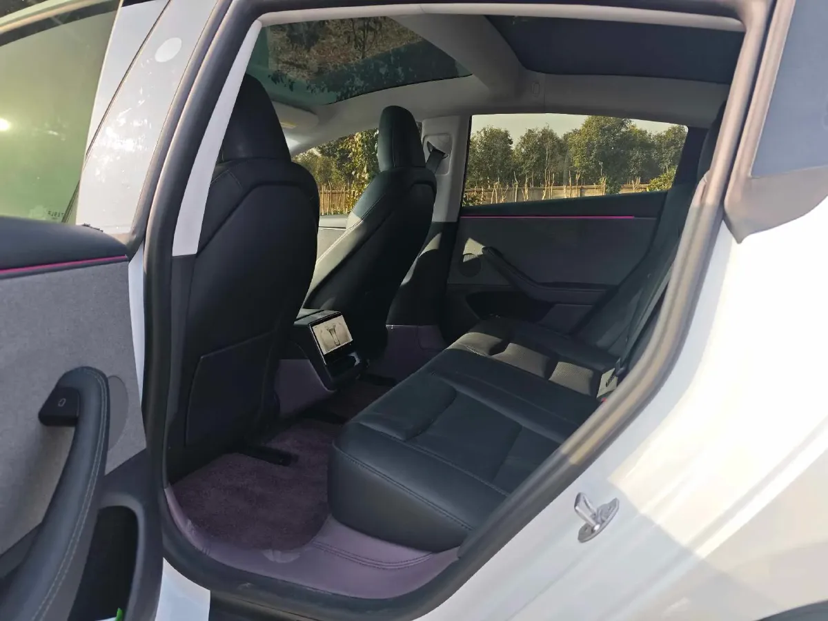 2025 Tesla Model 3 BEV,autocango,china used car exporter,china ev exporter,chinese used car exporter,chinese used ev exporter