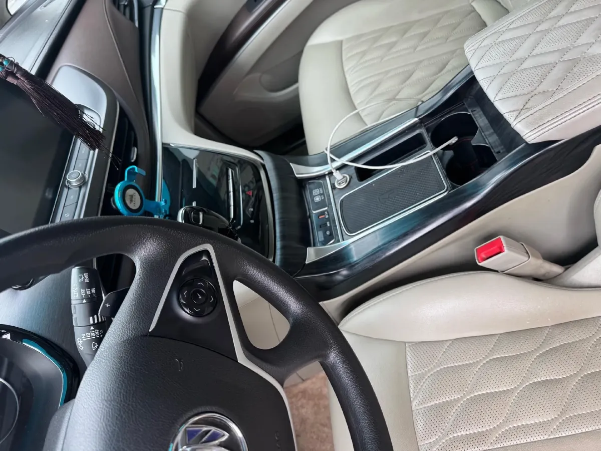 2021 Buick GL8 2.0T 237HP L4 9AT,autocango,china used car exporter,china ev exporter,chinese used car exporter,chinese used ev exporter