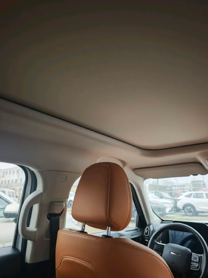 2023 Haval Dargo PLUS 2.0T 238HP L4 9DCT,autocango,china used car exporter,china ev exporter,chinese used car exporter,chinese used ev exporter