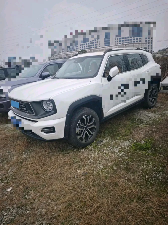 2023 Haval Dargo PLUS 2.0T 238HP L4 9DCT,autocango,china used car exporter,china ev exporter,chinese used car exporter,chinese used ev exporter