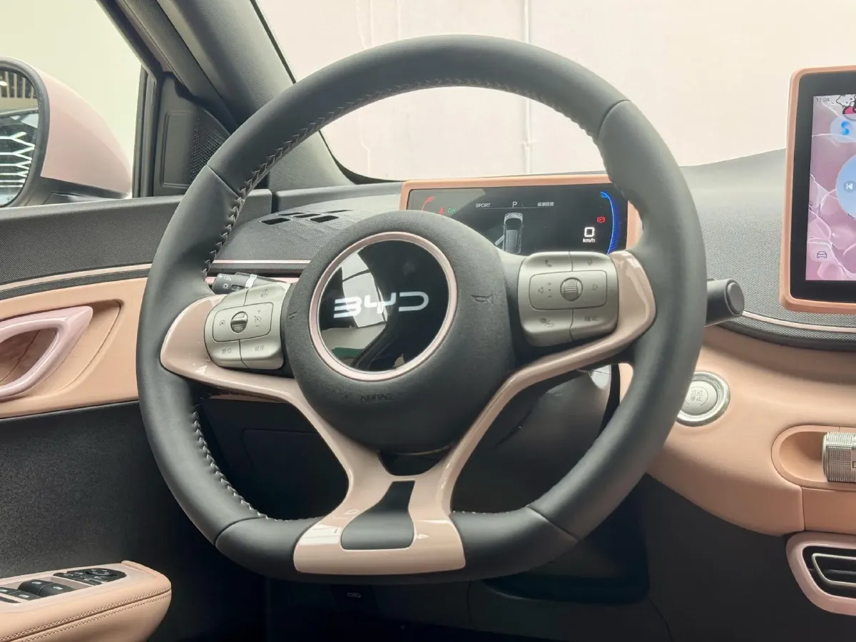 2024 BYD Seagull BEV 30.08KWH,autocango,china used car exporter,china ev exporter,chinese used car exporter,chinese used ev exporter