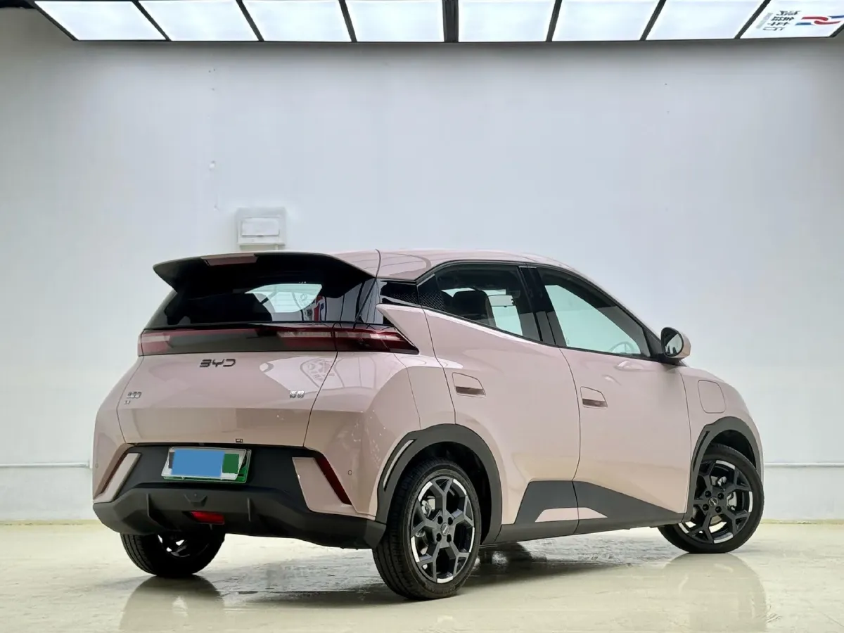 2024 BYD Seagull BEV 30.08KWH,autocango,china used car exporter,china ev exporter,chinese used car exporter,chinese used ev exporter