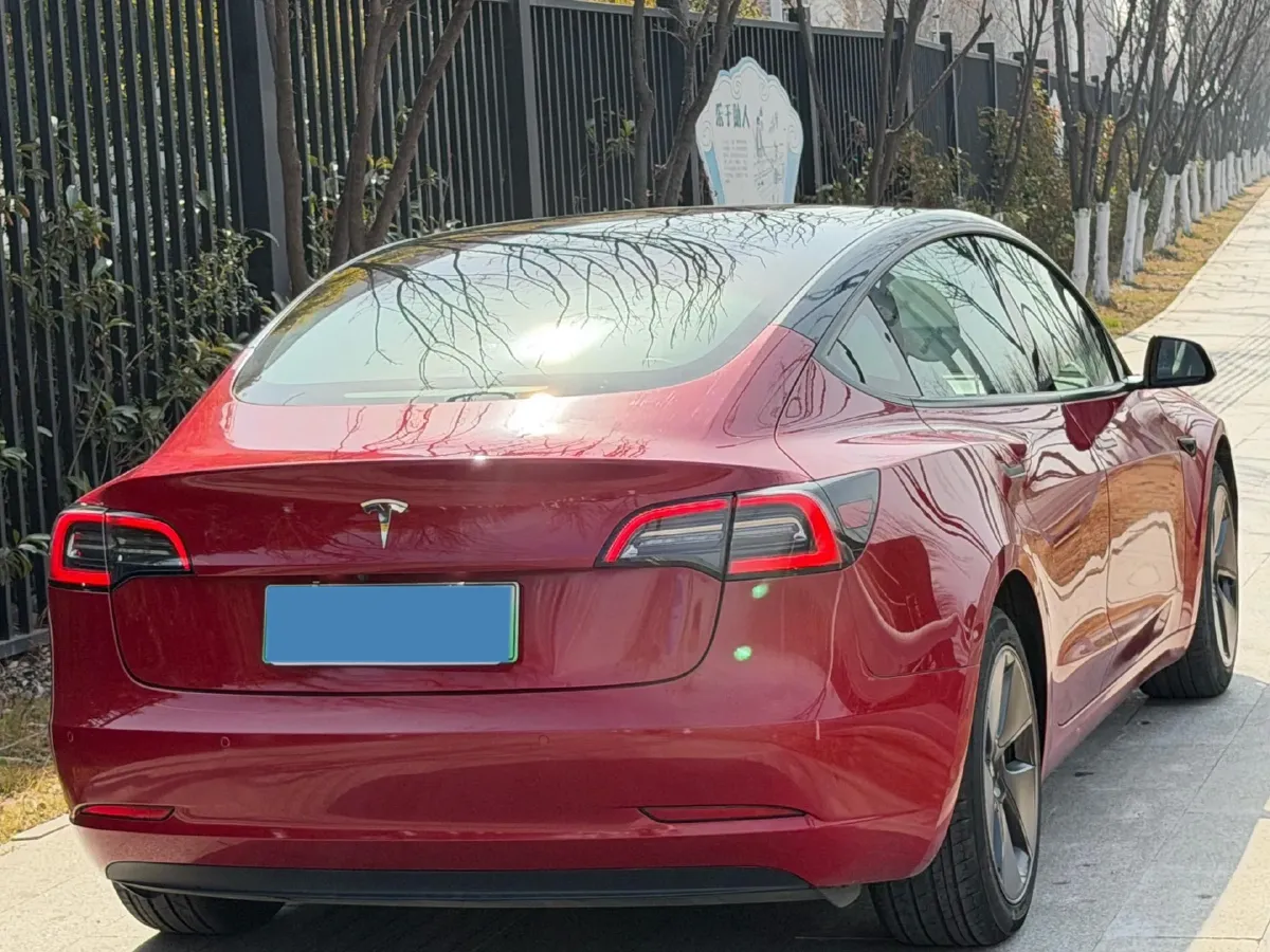 2021 Tesla Model 3 BEV 55KWH,autocango,china used car exporter,china ev exporter,chinese used car exporter,chinese used ev exporter