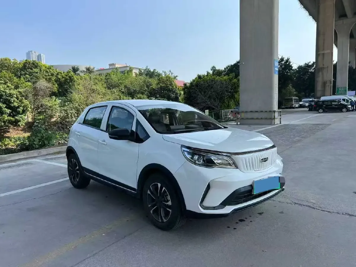 2021 WuLing Nano EV BEV 28KWH,autocango,china used car exporter,china ev exporter,chinese used car exporter,chinese used ev exporter