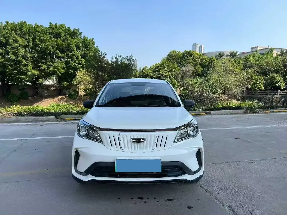 2021 WuLing Nano EV BEV 28KWH,autocango,china used car exporter,china ev exporter,chinese used car exporter,chinese used ev exporter